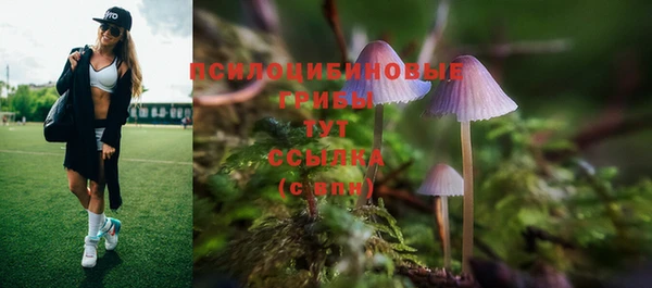 Альфа ПВП Баксан