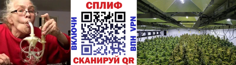Бошки марихуана OG Kush  Щёкино 